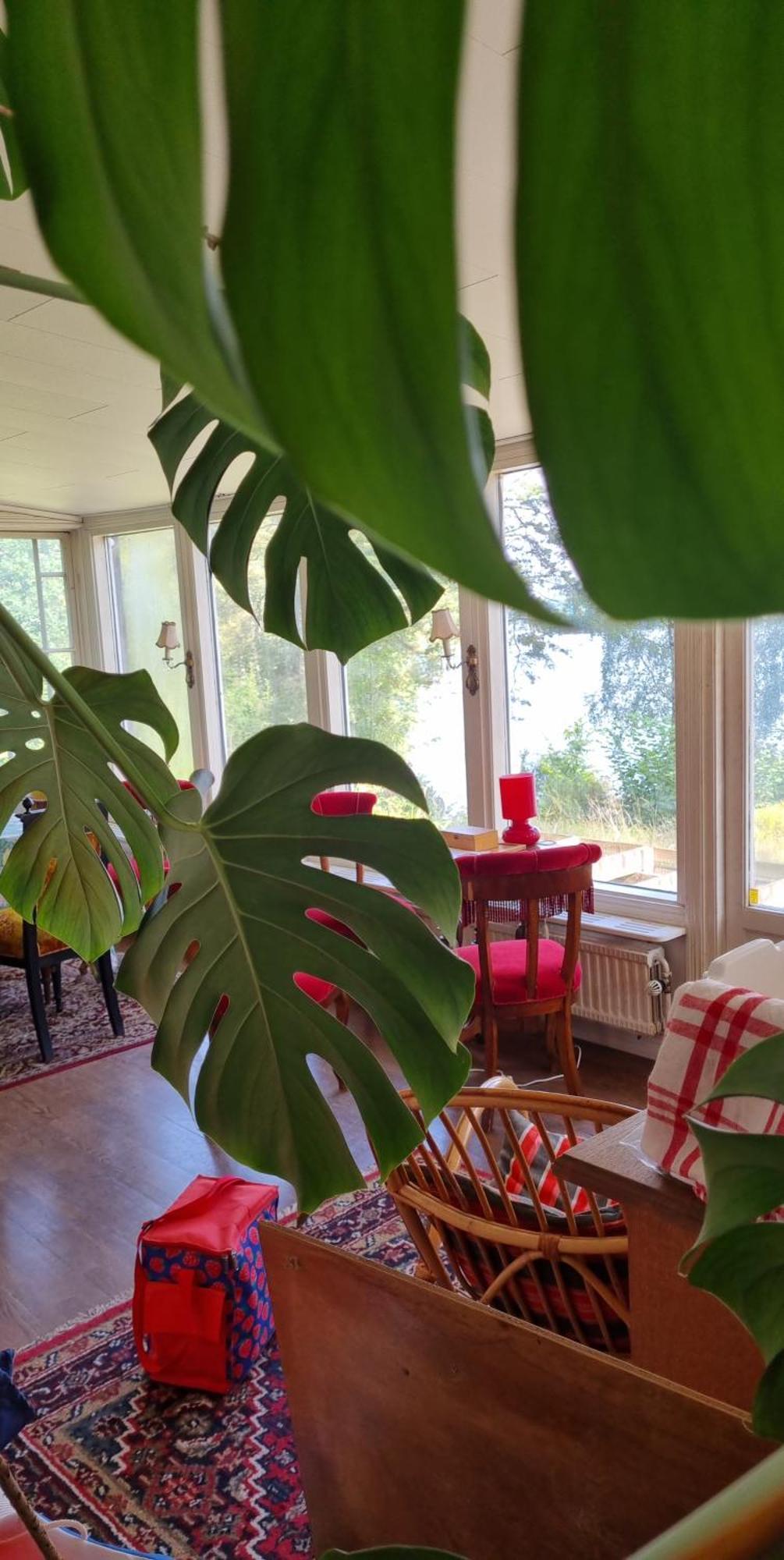Hyr Rum Pa Oestbo Vittsjö Exteriér fotografie