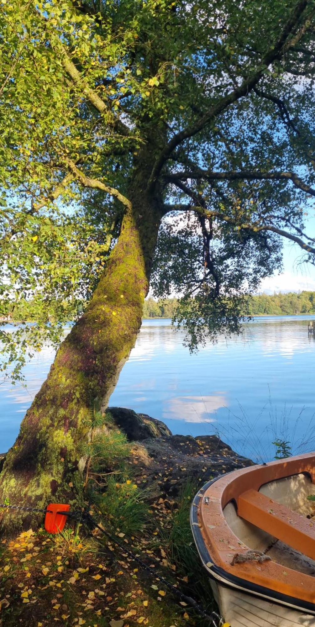Hyr Rum Pa Oestbo Vittsjö Exteriér fotografie